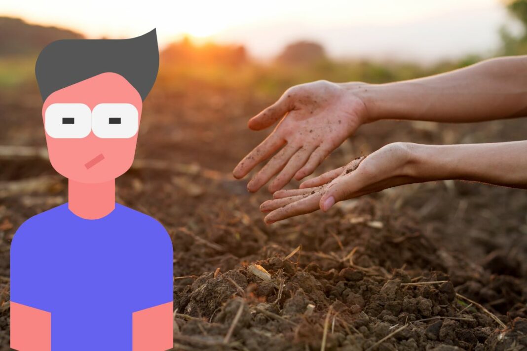 Obtenez un terrain gratuit dans le Metaverse Cornucopias -canva